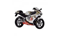 Aprilia RS250 Fairings Canada