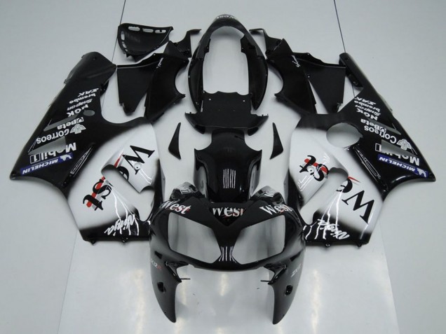 2002-2006 Kawasaki ZX12R Motorcycle Fairings - Glossy Black White West Canada