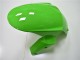 2011-2015 Kawasaki ZX10R Motorcycle Fairing - Green Glossy Black Canada