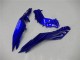 2013-2024 Kawasaki Ninja 300 EX300R Motorcycle Fairings - Blue Black White Flame Canada