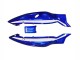 1996-2007 Yamaha YZF600R Thundercat Motorcycle Fairings - Blue White Black Canada