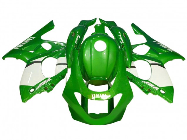 1996-2007 Yamaha YZF600R Thundercat Motorcycle Fairing - Green White Canada