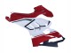 2020-2021 Ducati Panigale V4 V4S Motorcycle Fairings - White Red Green Matte Black Canada