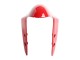 2015-2020 Ducati 1299 Motorcycle Fairings - Red Canada