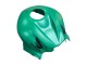 2007-2008 Honda CBR600RR Bike Fairings - Green Glossy Black Canada