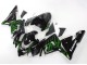 2004-2005 Kawasaki ZX10R Motorcycle Fairings - Black with Green Flame Ninja Canada