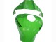 2021-2025 Kawasaki ZX10R Motorcycle Fairings - Green Glossy Black Canada