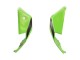 2021-2025 Kawasaki ZX10R Motorcycle Fairings - Green Black Red Canada