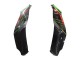 2021-2025 Kawasaki ZX10R Motorcycle Fairings - Green Black Red Canada