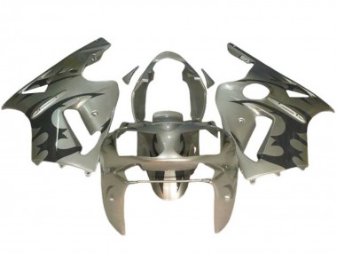 2002-2006 Kawasaki ZX12R Motorcycle Fairings - Silver Black Canada