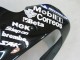 2000-2001 Kawasaki ZX9R Motorcycle Fairings - Glossy Black White West Canada