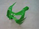 2000-2001 Kawasaki ZX9R Motorcycle Fairings - Green Silver Black Canada