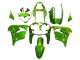 2000-2001 Kawasaki ZX9R Motorcycle Fairings - Green Flame Canada