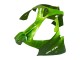 2000-2001 Kawasaki ZX9R Motorcycle Fairings - Green Flame Canada