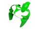 2000-2001 Kawasaki ZX9R Motorcycle Fairings - Green Canada