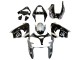 2002-2003 Kawasaki ZX9R Motorcycle Fairings - Silver Glossy Black Monster Elf Canada