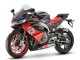 2020-2024 Aprilia RS660 Motorcycle Fairings - Matte Blue Red Silver Canada