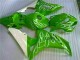 Cheap 2006-2007 Green Honda CBR1000RR Motorbike Fairings Canada Cheap 2006-2007 Green Honda CBR1000RR Motorbike Fairings Canada