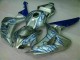 Cheap 2006-2007 Blue Flame Silver Honda CBR1000RR Motorcycle Fairing Kits Canada Cheap 2006-2007 Blue Flame Silver Honda CBR1000RR Motorcycle Fairing Kits Canada